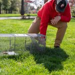 Mouse-Free Living: How Professional Exterminators Achieve Complete Rodent Nest Eradication