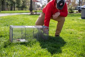 Mouse-Free Living: How Professional Exterminators Achieve Complete Rodent Nest Eradication